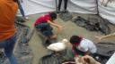 Bịt mắt bắt vịt.jpg-1 - 