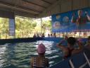 IMG_0556.JPG - 